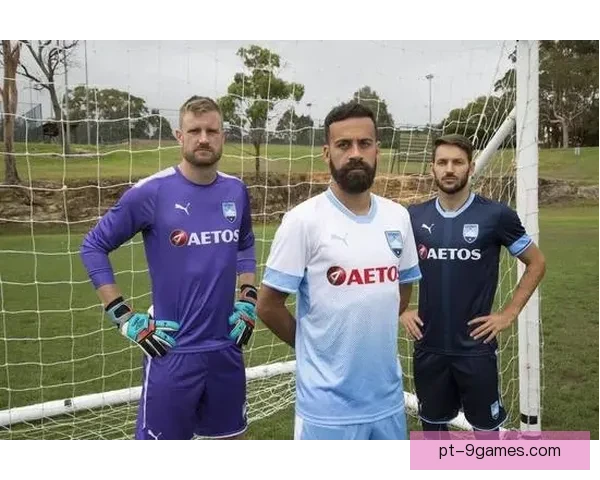 足球直播免费新足球直播平台覆盖赛事解析与高清观赛体验全面精彩